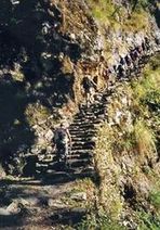 Clicca per vedere l'immagine a dimensioni maggiori